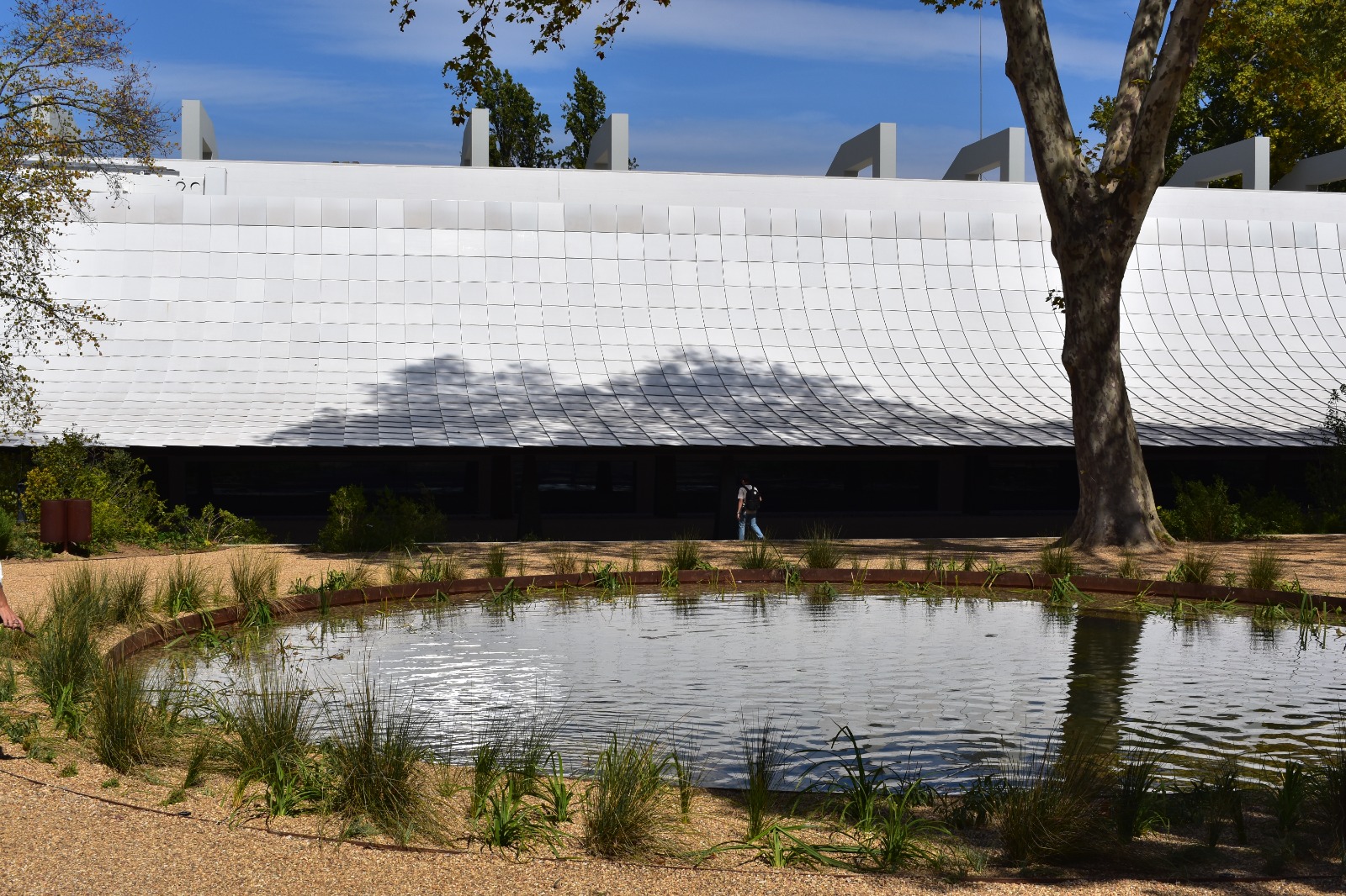 Fotogaleria. Jardim futurista no novo Centro de Arte Moderna da Gulbenkian